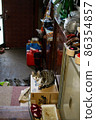 Decluttering of parents' home and long-term care. Local cat uproar 86354857