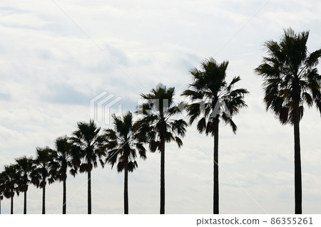 Chiba Fornia Chiba Fornia 86355261