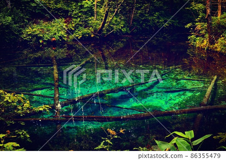 北海道斜裡町早晨的上小池 北海道斜裡町早晨的上小池 86355479