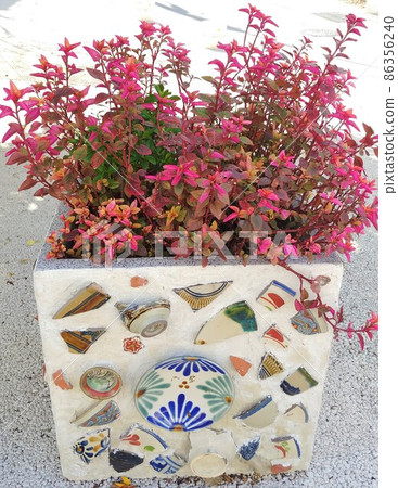 Naha City Tsuboya Yachimun Road Flowerbed Naha City Tsuboya Yachimun Road Flowerbed 86356240