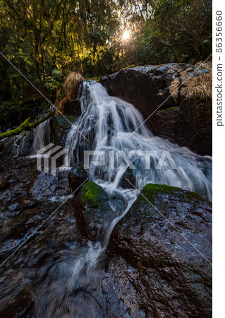 Beautiful scenery of Kikuchi Gorge in the early morning 86356660