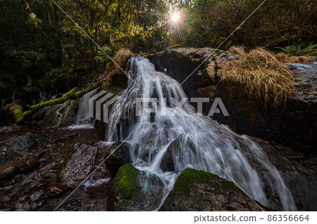 Beautiful scenery of Kikuchi Gorge in the early morning Beautiful scenery of Kikuchi Gorge in the early morning 86356664