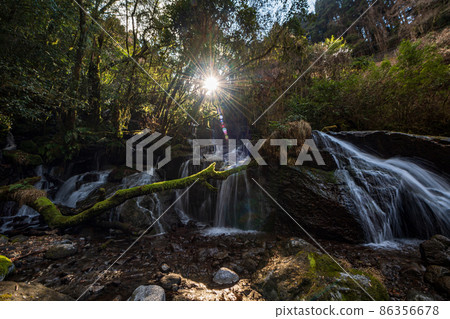 Beautiful scenery of Kikuchi Gorge in the early morning 86356678