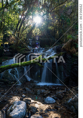 Beautiful scenery of Kikuchi Gorge in the early morning 86356682