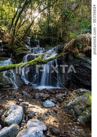 Beautiful scenery of Kikuchi Gorge in the early morning 86356684