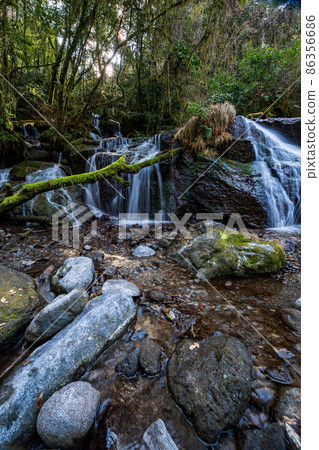 Beautiful scenery of Kikuchi Gorge in the early morning Beautiful scenery of Kikuchi Gorge in the early morning 86356686