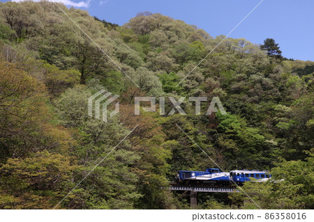 Okuizumo Orochi running on the fresh green Kisuki line Okuizumo Orochi running on the fresh green Kisuki line 86358016