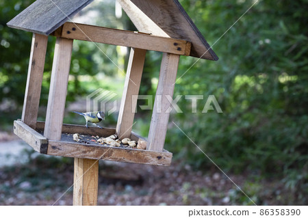 Tit and bird feeder in the winter park. Bird. Human concern for birds. 86358390