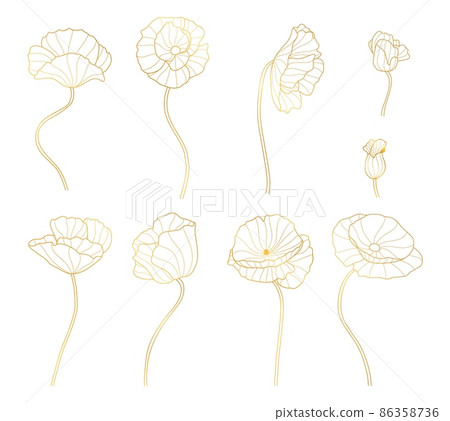 Golden line flowers set. Gold linear flower, garden exotic plants. Decorative floral elements, abstract outline botanical vector collection 86358736