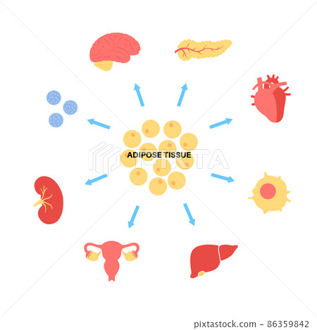 Adipose Tissue Hormones Adipose Tissue Hormones 86359842