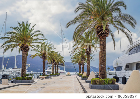 Yacht Porto Montenegro. Elite marina of Tivat in Montenegro 86359857