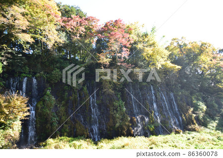 A waterfall with many lines A waterfall with many lines 86360078