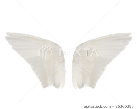 White wings similar to angelic isolated on white background White wings similar to angelic isolated on white background 86360393