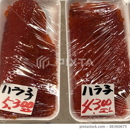 宮城的原子 宮城的原子 86360675