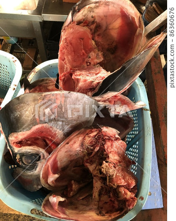 金槍魚的熊 金槍魚的熊 86360676