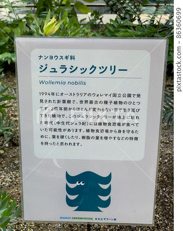 淡路綠色大廳 淡路綠色大廳 86360699