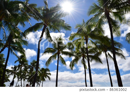 夏威夷的天空 夏威夷的天空 86361002