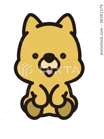 Cute Shiba Inu 86361379