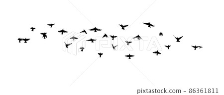 flying bird vector png