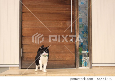 在寒冷的日子外出的八爪貓 在寒冷的日子外出的八爪貓 86361820