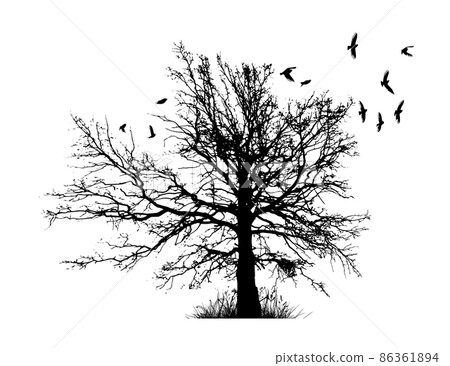 Realistic illustration with silhouettes of three birds - crows or ravens sitting on tree branch without leaves and flying, isolated on white background - vector Realistic illustration with silhouettes of three birds - crows or ravens sitting on tree branch without leaves and flying, isolated on white background - vector 86361894