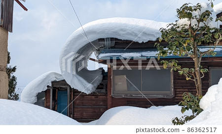Snow roll cake Snow roll cake 86362517