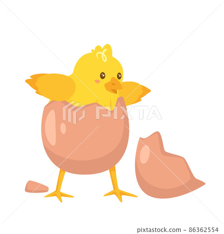 yellow chick breaks free of the shell yellow chick breaks free of the shell 86362554
