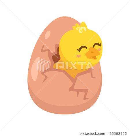 yellow chick breaks free of the shell 86362555