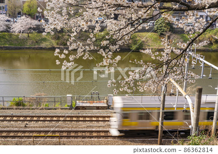 沿著櫻花盛開的牛込護城河行駛的總武線車輛（東京都千代田區，2021年3月） 86362814