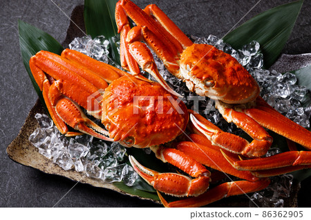 螃蟹食物 螃蟹食物 86362905