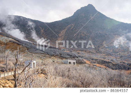 [Kanagawa] Owakudani 86364557