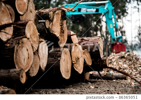 Work site to cultivate forest 86365051