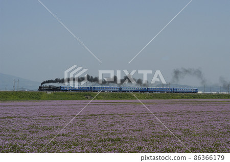 Hokuriku Main Line Torahime-Kawake JR West C56-160 (Umekoji) + 12 series (Miyahara) SL Kita-Biwako Hokuriku Main Line Torahime-Kawake JR West C56-160 (Umekoji) + 12 series (Miyahara) SL Kita-Biwako 86366179
