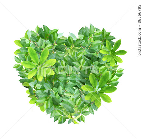 Responsible consumption. Heart made from green leaves. Love of nature. Ecology and zero waste concept Responsible consumption. Heart made from green leaves. Love of nature. Ecology and zero waste concept 86366795