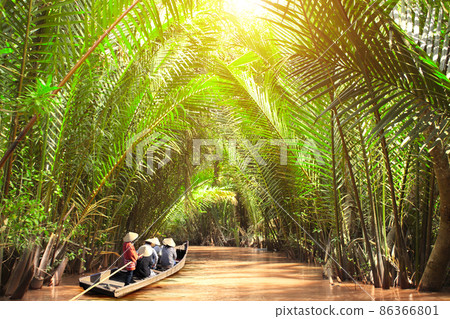People boating in the delta of Mekong river, Vietnam 86366801