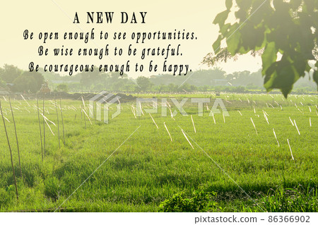 Motivational and inspirational quote with image of paddy field 86366902