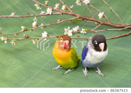 按鈕軟木塞 86367415