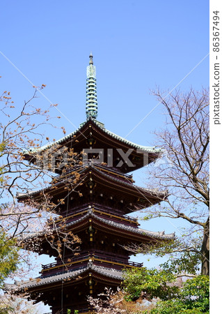 Former Kanei-ji Five-storied Pagoda (Ueno Park, Taito-ku, Tokyo) Former Kanei-ji Five-storied Pagoda (Ueno Park, Taito-ku, Tokyo) 86367494