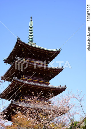 Former Kanei-ji Five-storied Pagoda (Ueno Park, Taito-ku, Tokyo) Former Kanei-ji Five-storied Pagoda (Ueno Park, Taito-ku, Tokyo) 86367495
