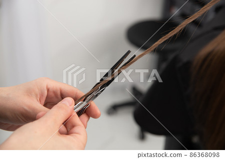 Professional hair stylist holding comb and hot thermal scissors cutting tips of long straight hair lock closeup. 86368098