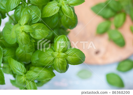 砧板和羅勒 砧板和羅勒 86368200