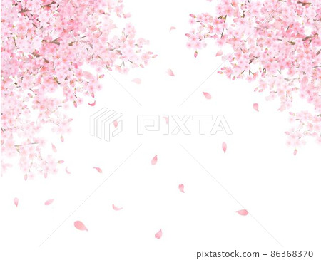 Beautiful and gorgeous petals fluttering spring cherry blossom arch white back frame background material 86368370