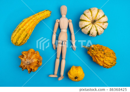 Ugly pumpkin vegetables with a wooden mannequin on a blue background. Top view 86368425