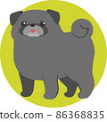 A black pug with a whip whip 86368835