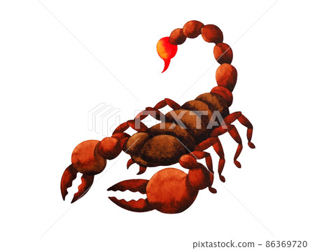 scorpio zodiac astrology horoscope symbol sign logo icon design in water element color art background watercolor painting cartoon drawing illustration fortune scorpio zodiac astrology horoscope symbol sign logo icon design in water element color art background watercolor painting cartoon drawing illustration fortune 86369720