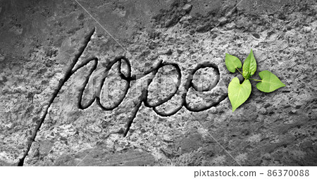 Hope Concept Hope Concept 86370088