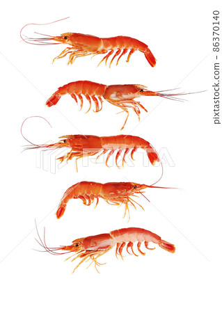 Five whole cooked shrimps vertically isolated on white 86370140