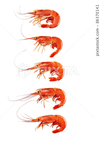 Five whole boiled prawns isolated on white background 86370141