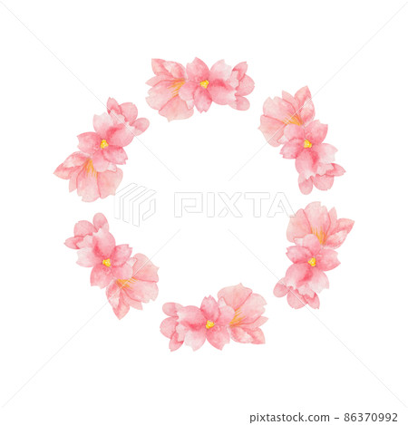 cherry blossom watercolor round frame on white background cherry blossom watercolor round frame on white background 86370992
