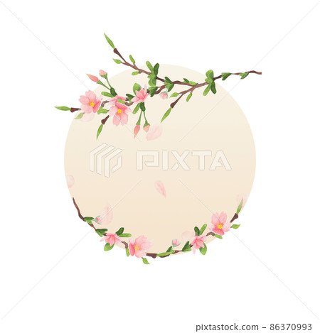cherry blossom watercolor round frame on white background cherry blossom watercolor round frame on white background 86370993